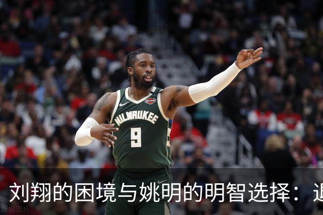 刘翔的困境与姚明的明智选择：退役运动员的不同命运