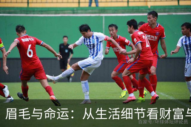 眉毛与命运：从生活细节看财富与品格
